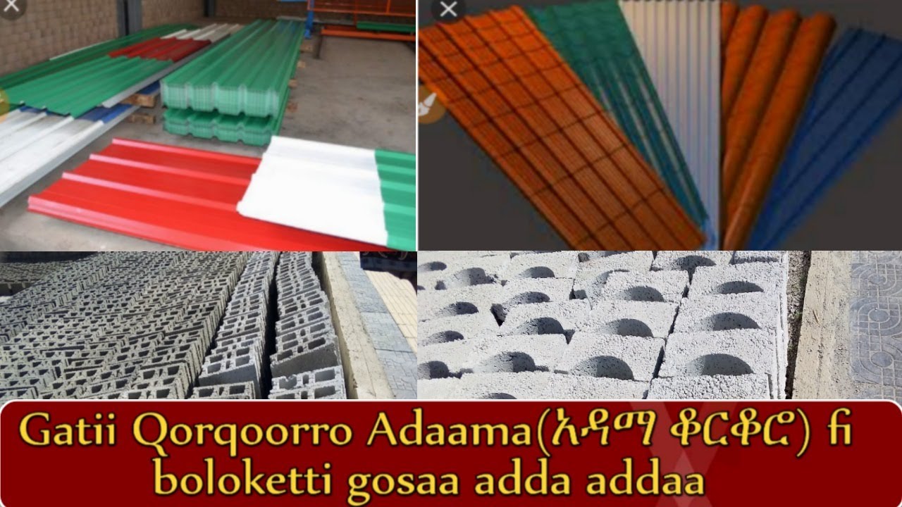 Gatii Qorqoorro Adaama fi isa kaani