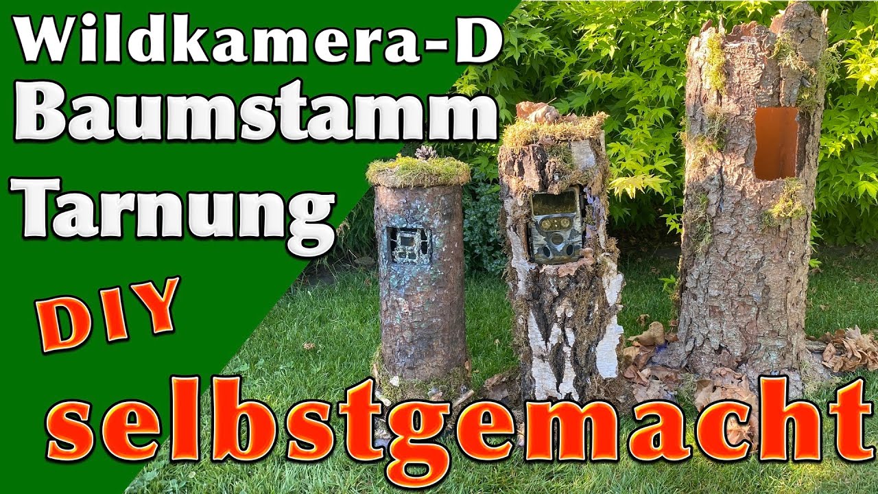 Wildkamera tarnen und verstecken - Baumattrappe bauen