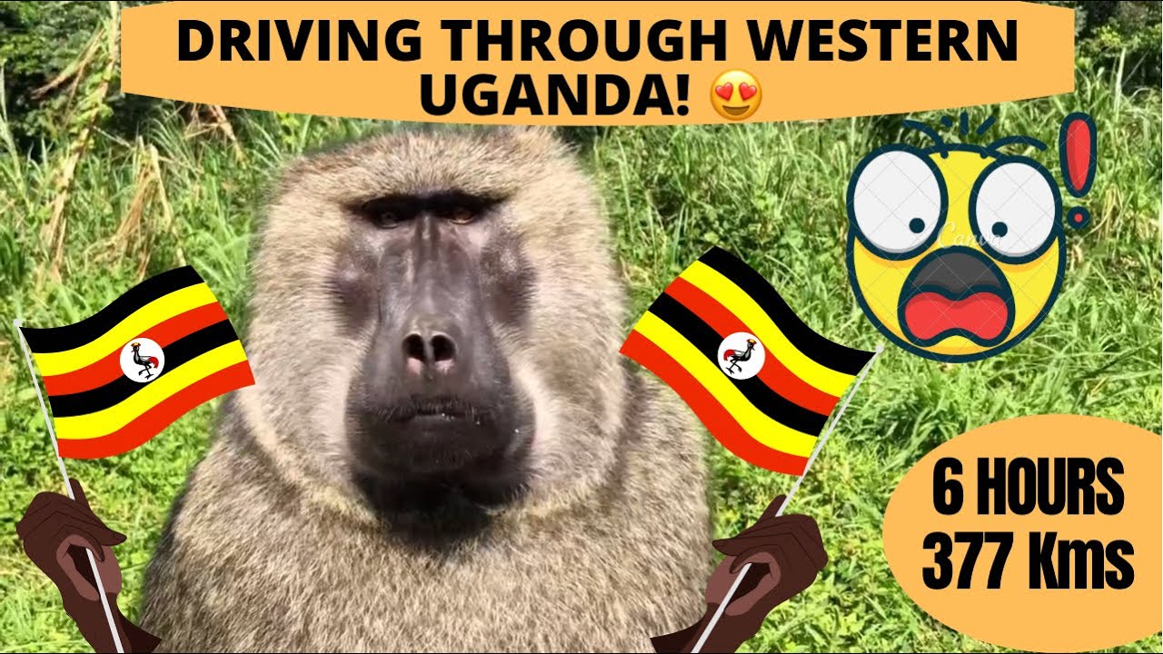 377 KM DRIVE IN WESTERN UGANDA! See why former UK Prime Minister declared it the Pearl of Africa!