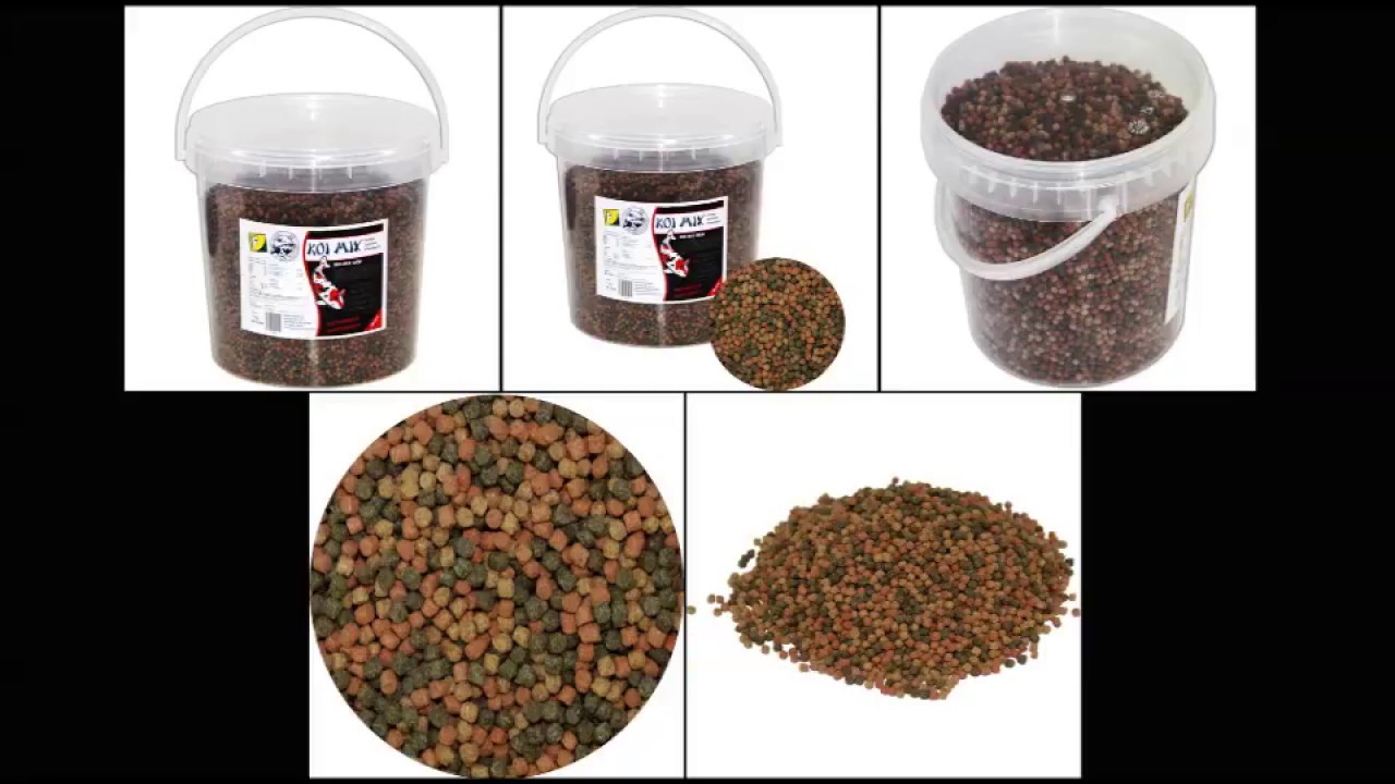 Teichoutlet  Koi Mix OSW - Produktvideo / 360&deg;-Ansicht