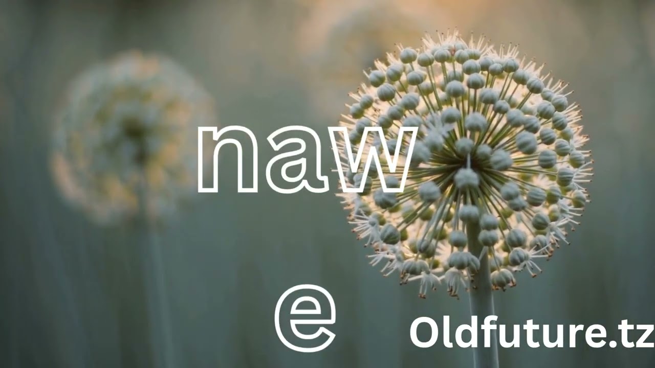 Old Future-Faini