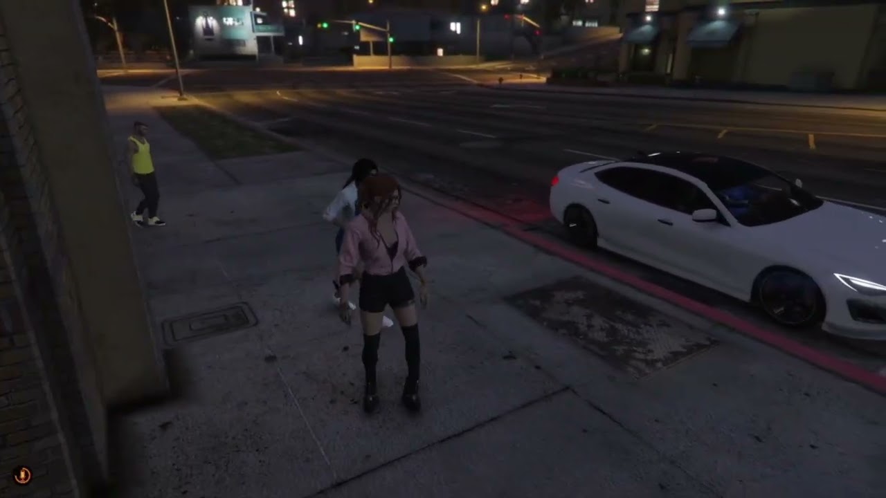 GTA-RP CLIP | Die wahre Gefahr? Suni! | Anja Aveberg | LuckyV #gtarp #gta #roleplay