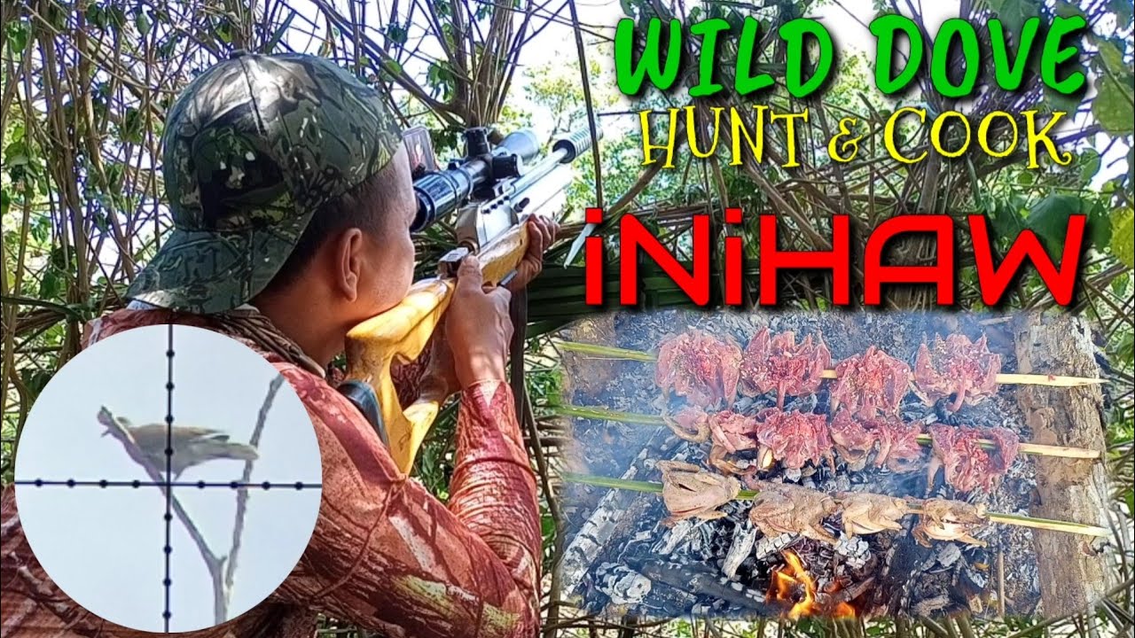 PART 1 WILD DOVE HUNT SA KALAKASAN NI AMIHAN CATCH & COOK