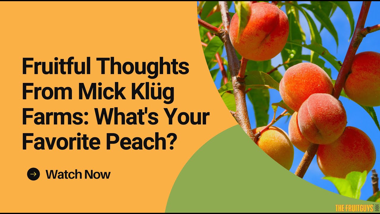 Fruitful Thoughts From Mick Kl&uuml;g Farms: What's Your Favorite Peach?