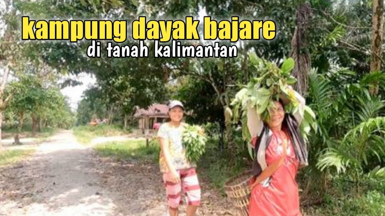 Kampung Dayak Bajare di kalimantan