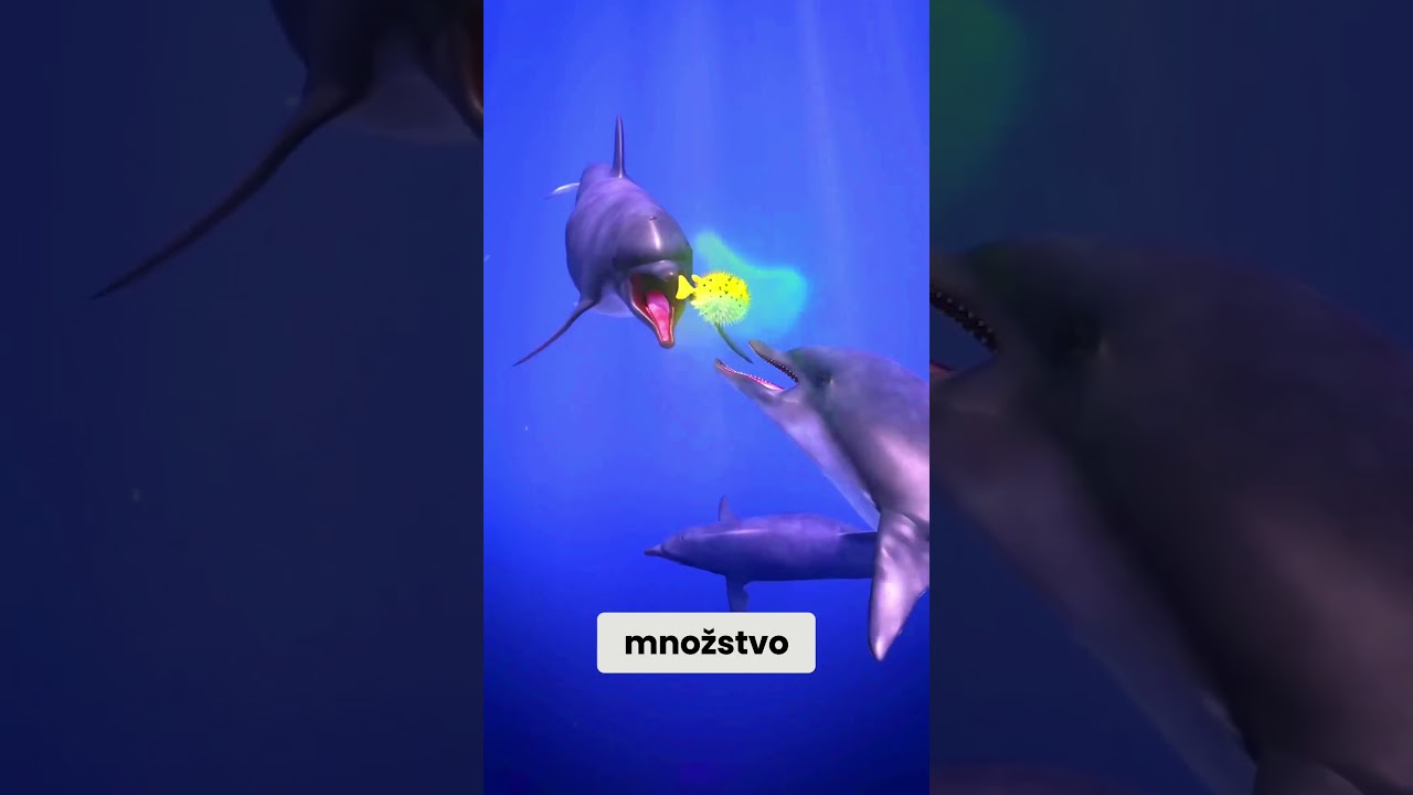 Temn&aacute; pravda o delf&iacute;noch