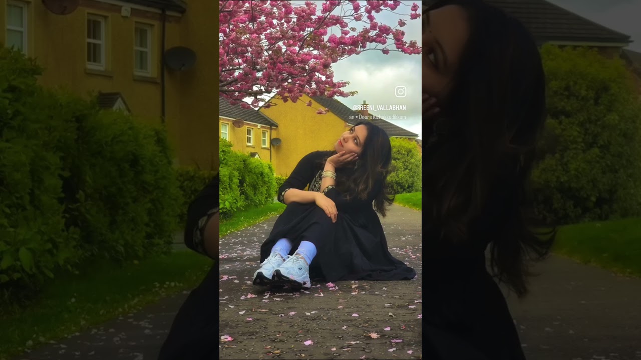 Cherry blossom in Ireland 