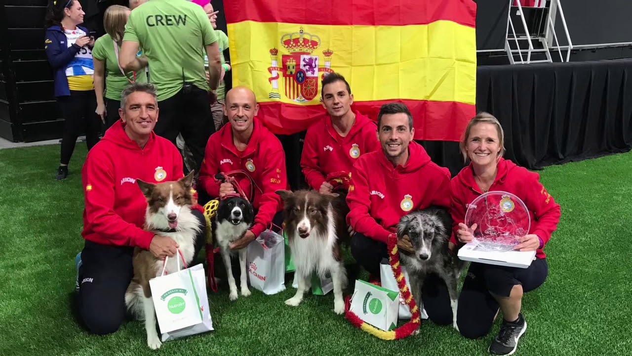 ESPAÑA campeona del mundo de Agility 2019