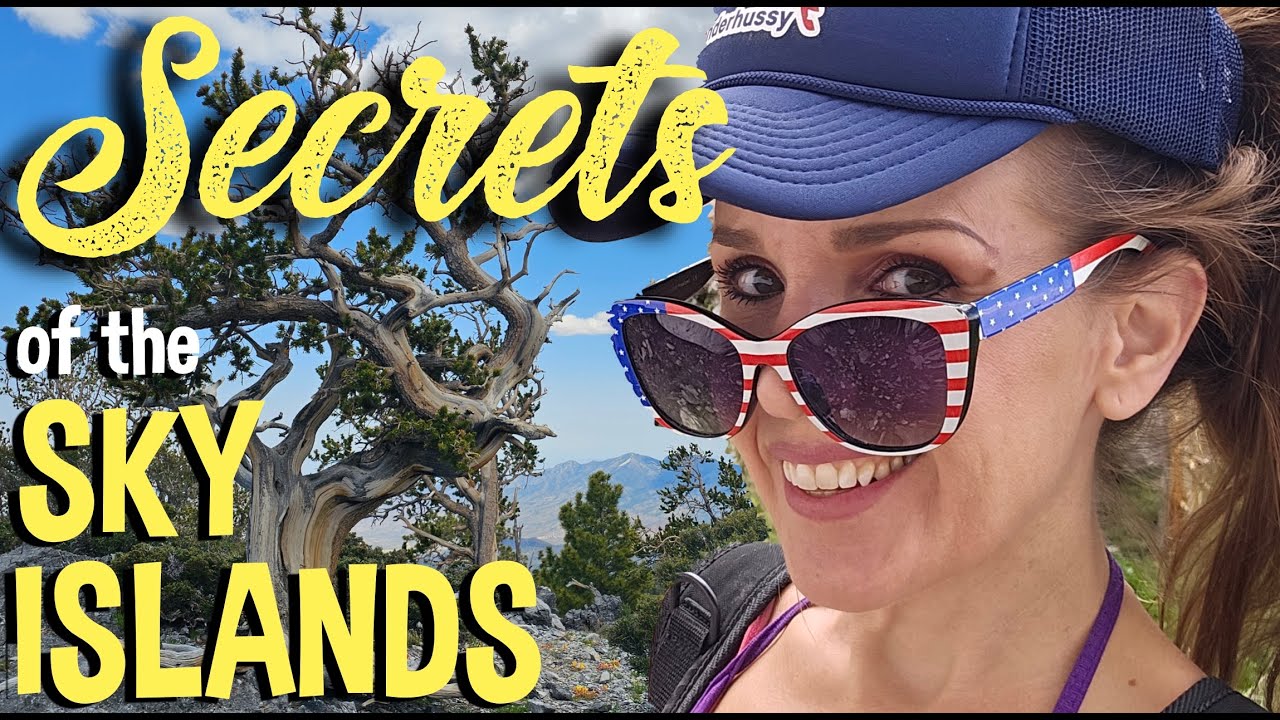Mummy Springs and the Oldest Tree in Nevada: Exploring the Sky Islands of the Mojave Desert