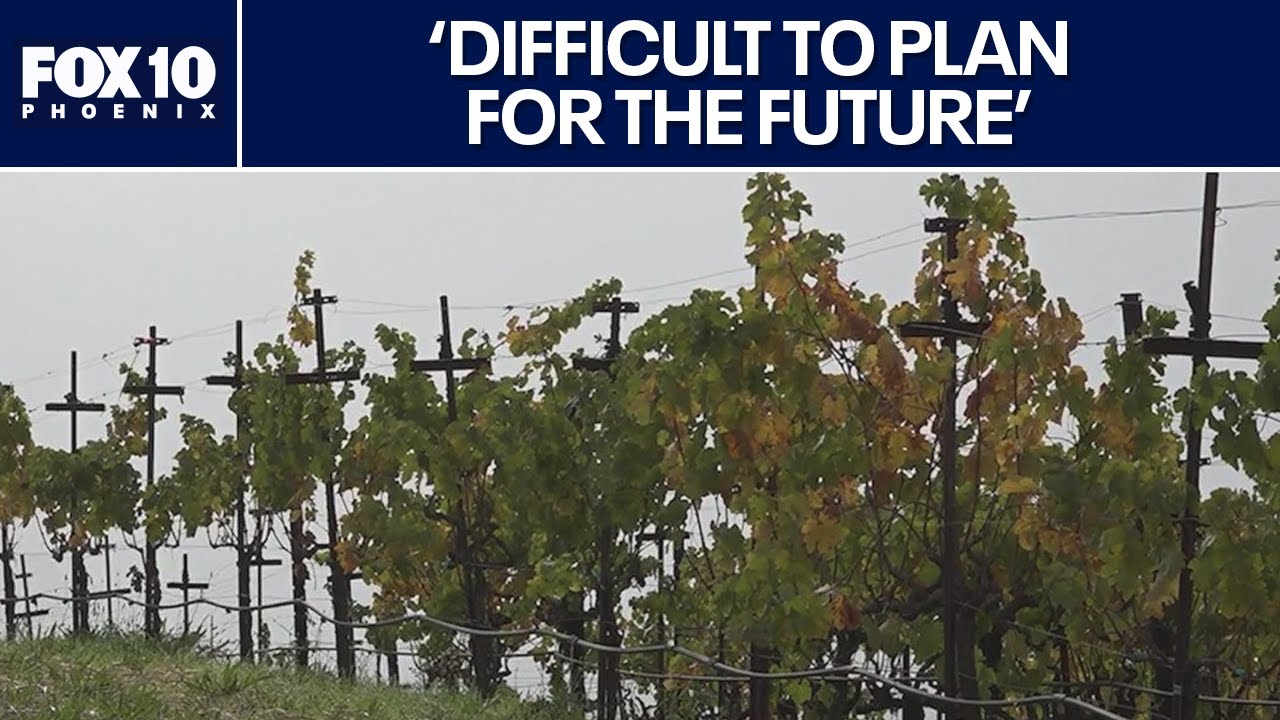 Wine industry faces growing uncertainty over tariffs | FOX 10 Phoenix