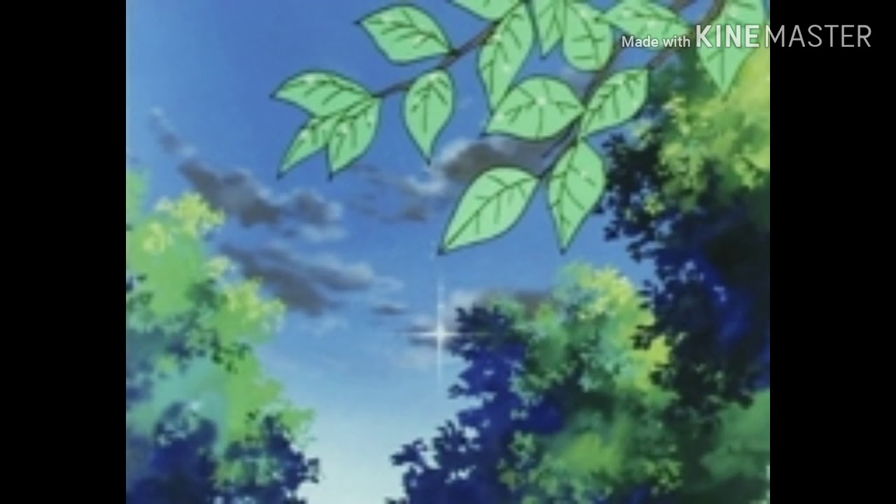 T o y b o x ♡ tarzan & jane (slowed + reverb)