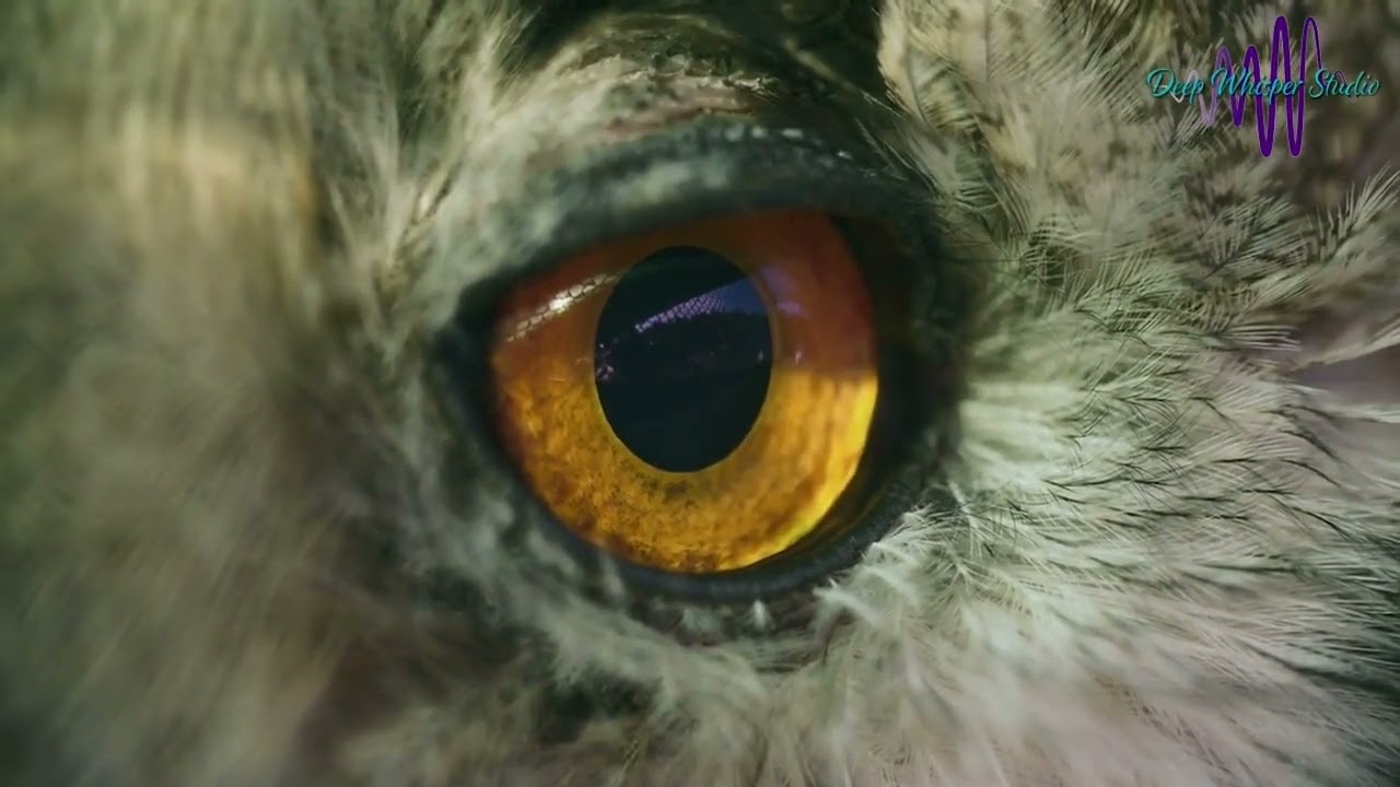 The Radiant Epiphany: Embracing the Source of Greatness