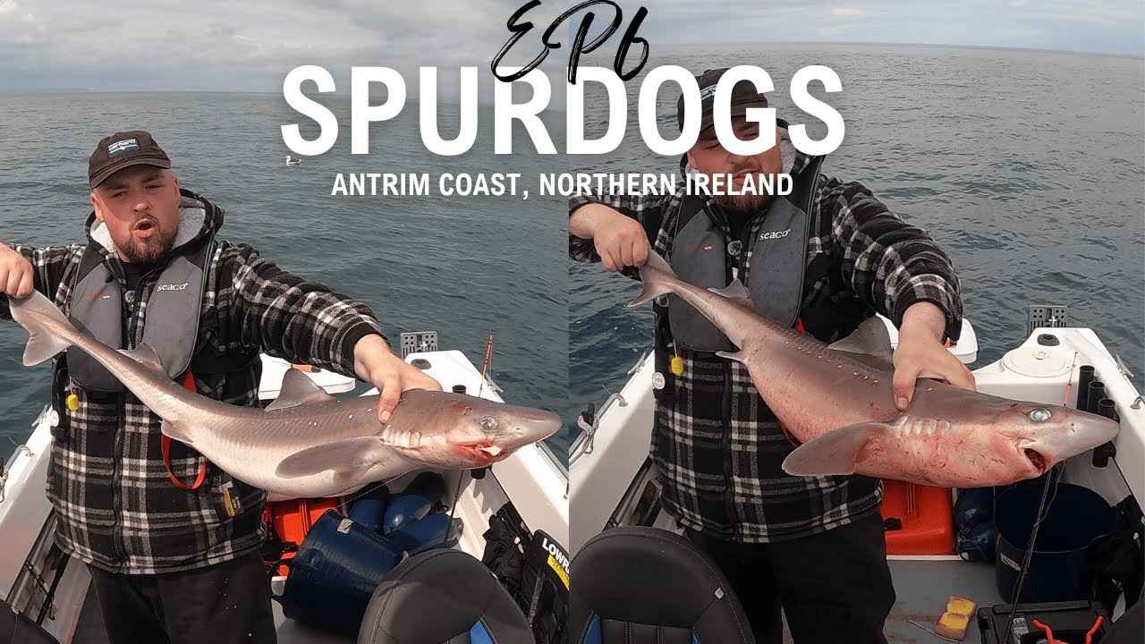 Ep6. SPURDOG FISHING | Antrim Coast | Northern Ireland