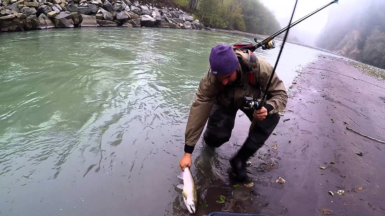 carbon river 2015
