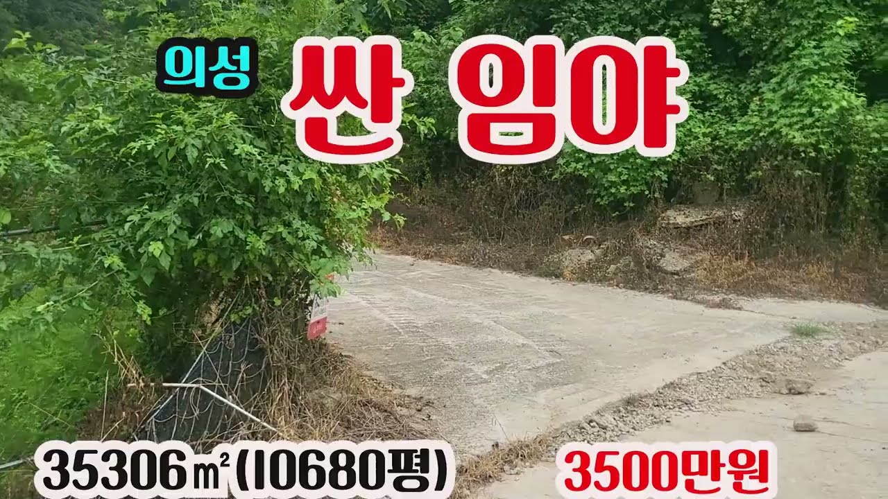 #매물392#싼임야#35306㎡(10680평)#3500만원#농림,보전관리지역#의성군 신평면#주말농장지#전원주택지#싼임야#싼농지#촌집#대지#의성부동산#경북부동산#안동부동산#봉화부동산