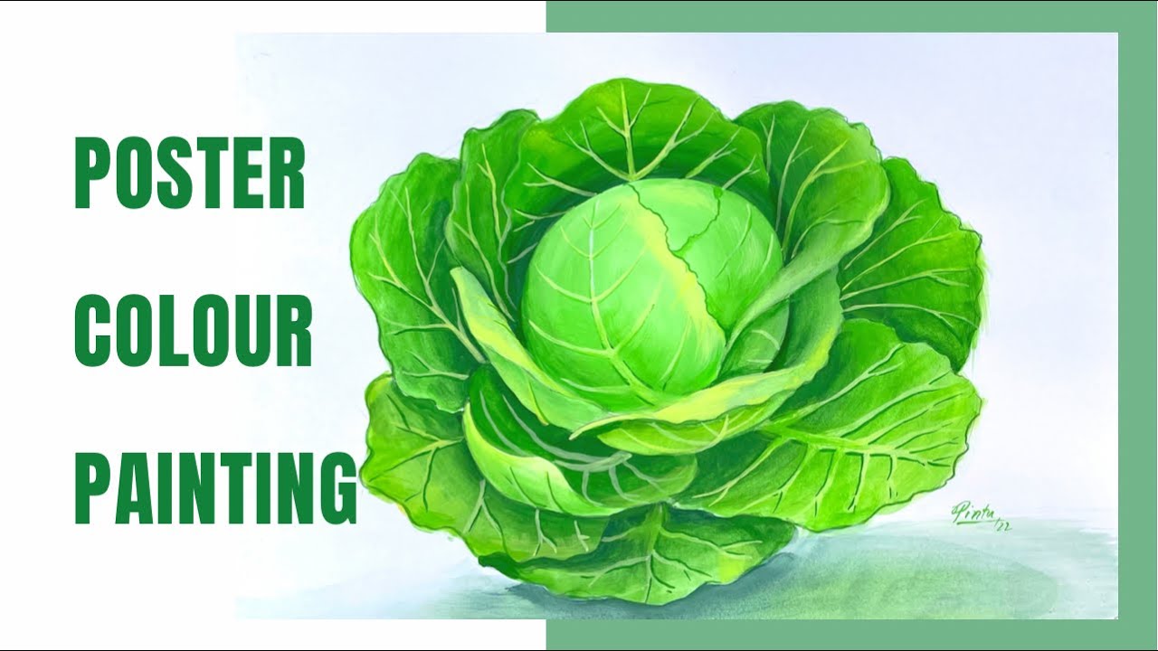 How to Draw a Cabbage with a Poster Colour