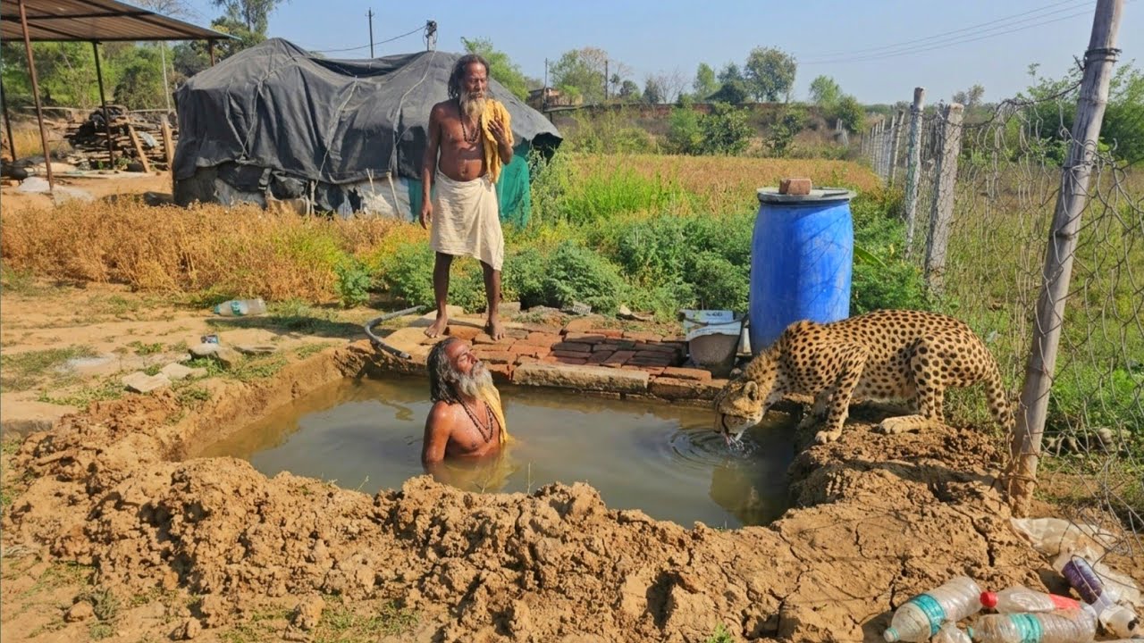 Chitrakoot में प्रकृति का चमत्कार एक ही घाट पर संत और जीव !! कच्ची कुटिया में तपस्या 