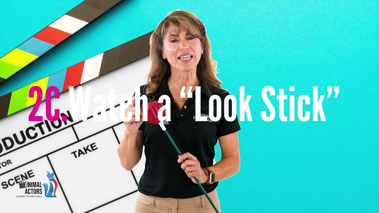 Animal Actor skits: How to Use a Look Stick
