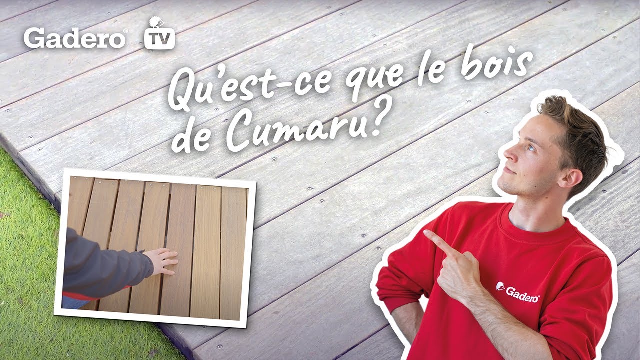 Qu'est ce que le bois de Cumaru ? Gadero France