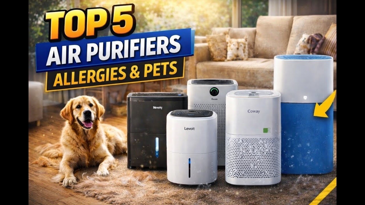 TOP 5 Air Purifiers for Allergies & Pets (Amazon) | Stop Sneezing + Kill Odors