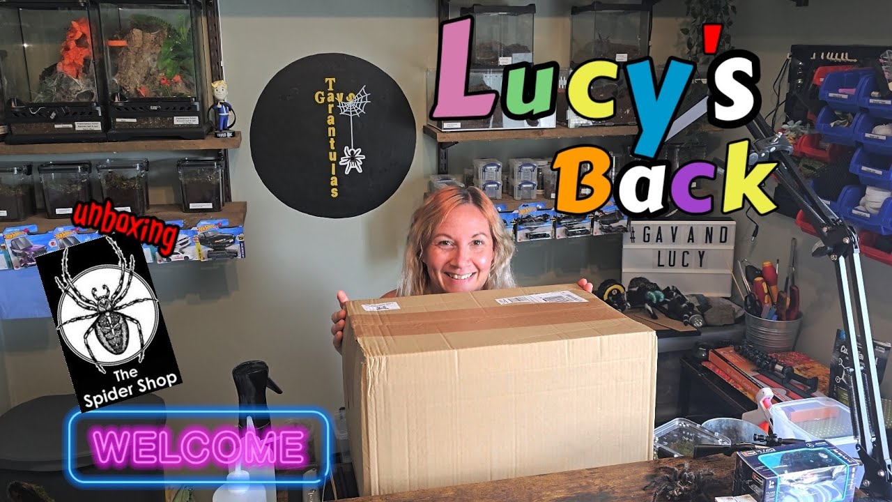 Lucy's back [ The Spidershop Unboxing ]   #neweditions #unboxing #thespidershop