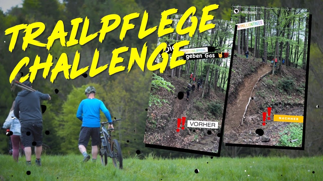 1 MTB Trail, 100 Meter, 10000 Bäume 🌳 TRAILPFLEGE CHALLENGE mit ENDURA
