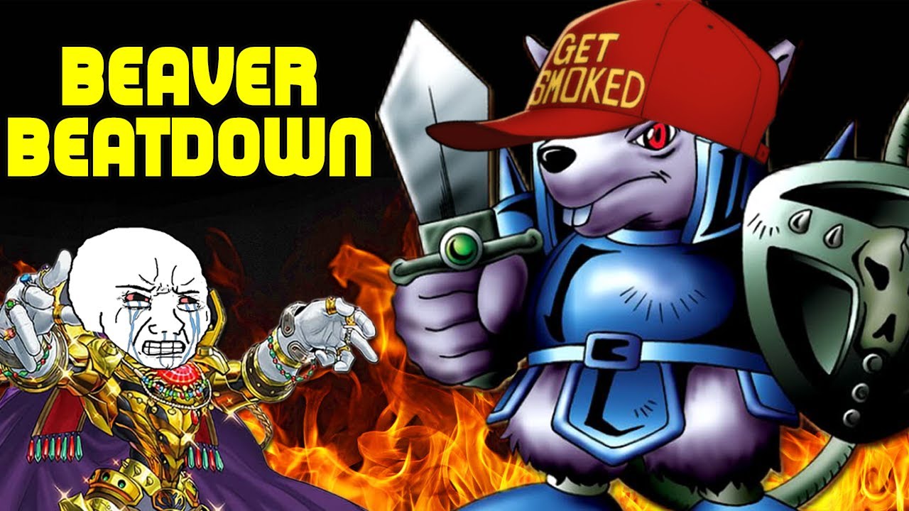 Beating ELDLICH with BEAVER WARRIOR!  Yu-Gi-Oh Master Duel