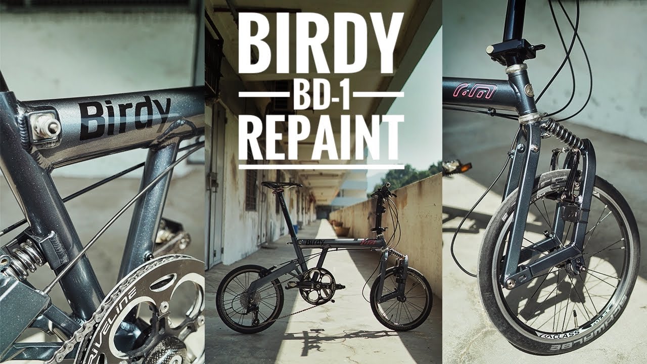 Birdy BD-1 Repaint | 4K
