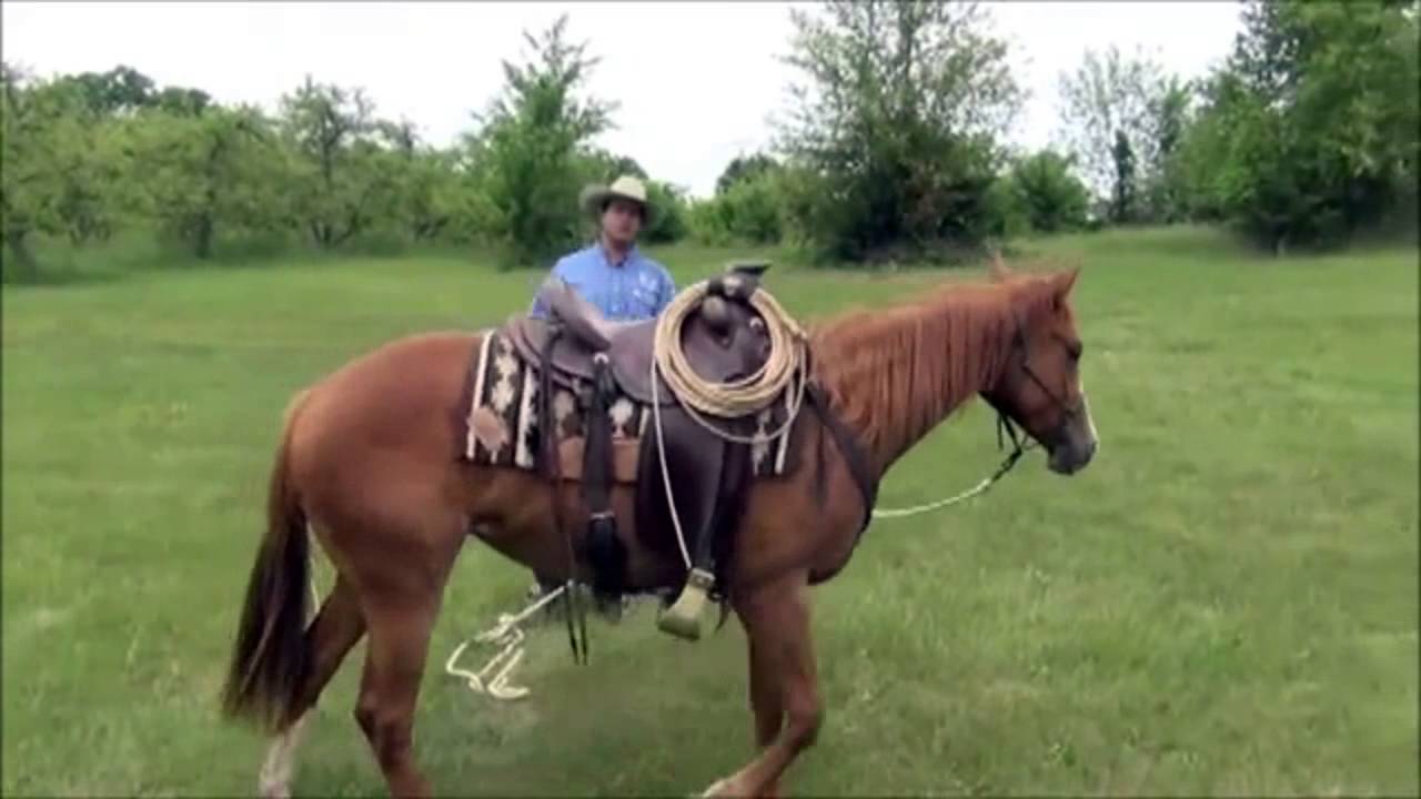 John Baar and Danica Demonstrate the Circling Game
