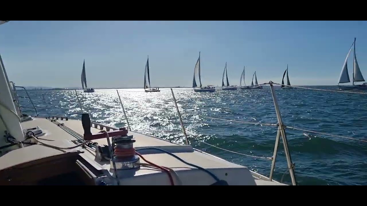 Night Wing - Freedom 33