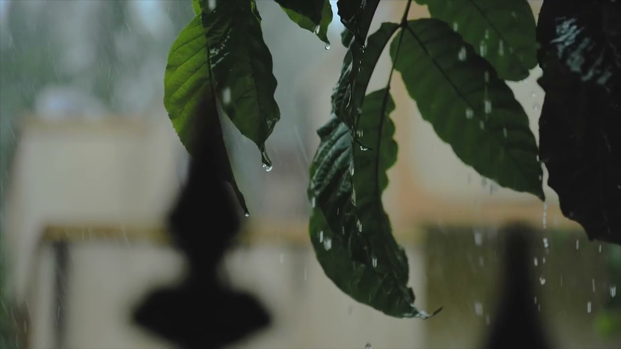 Old Bollywood Songs Playing in Another Room and it's Raining V2 || Bollywood ASMR || Ravijaa Mehta