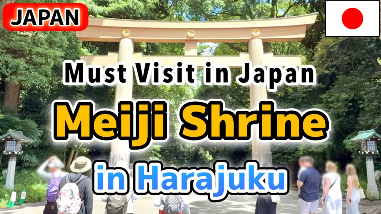 【Japan guide】Discovering Shrine Etiquette and Japanese Traditions｜Meiji shrine,Harajuku