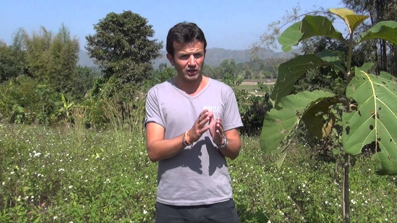 R&eacute;concilier agriculture, &eacute;cologie et &eacute;quit&eacute; sociale (Tha&iuml;lande)
