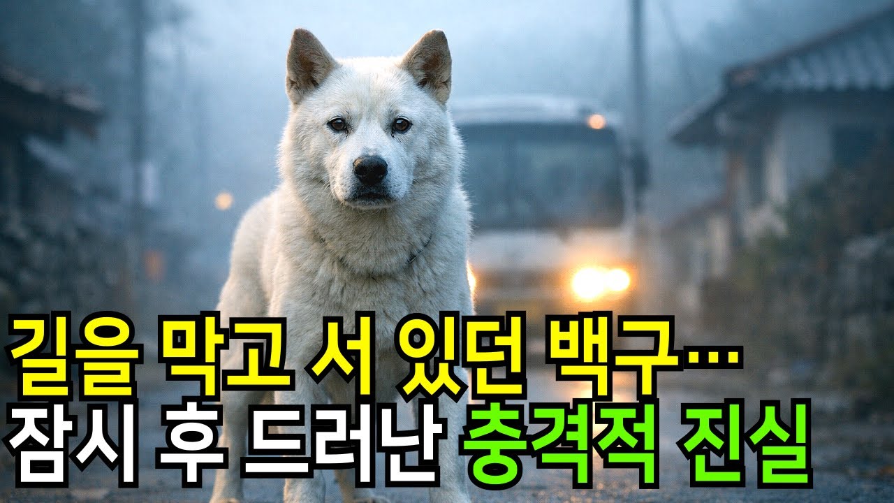 길을 막고 서 있던 백구... 잠시 후 드러난 충격적 진실