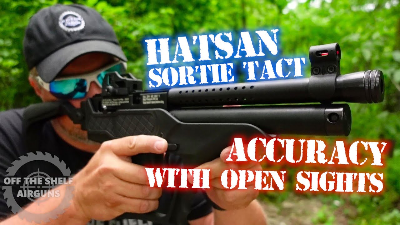 Hatsan Sortie Tact - Accuracy With Open Sights
