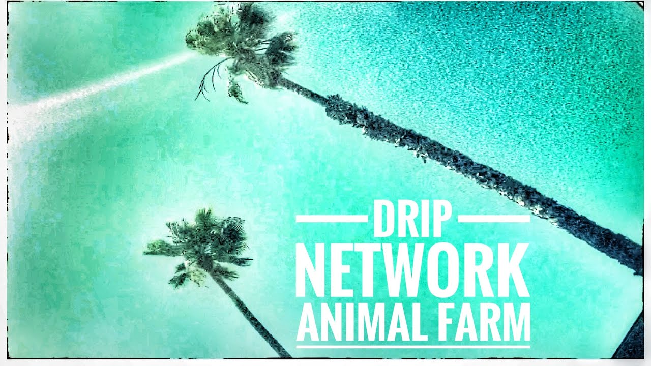 My Life - 💧&rdquo;Dripping in Cali&hellip;&rdquo; 💧- Official Music Video | DRIP NETWORK
