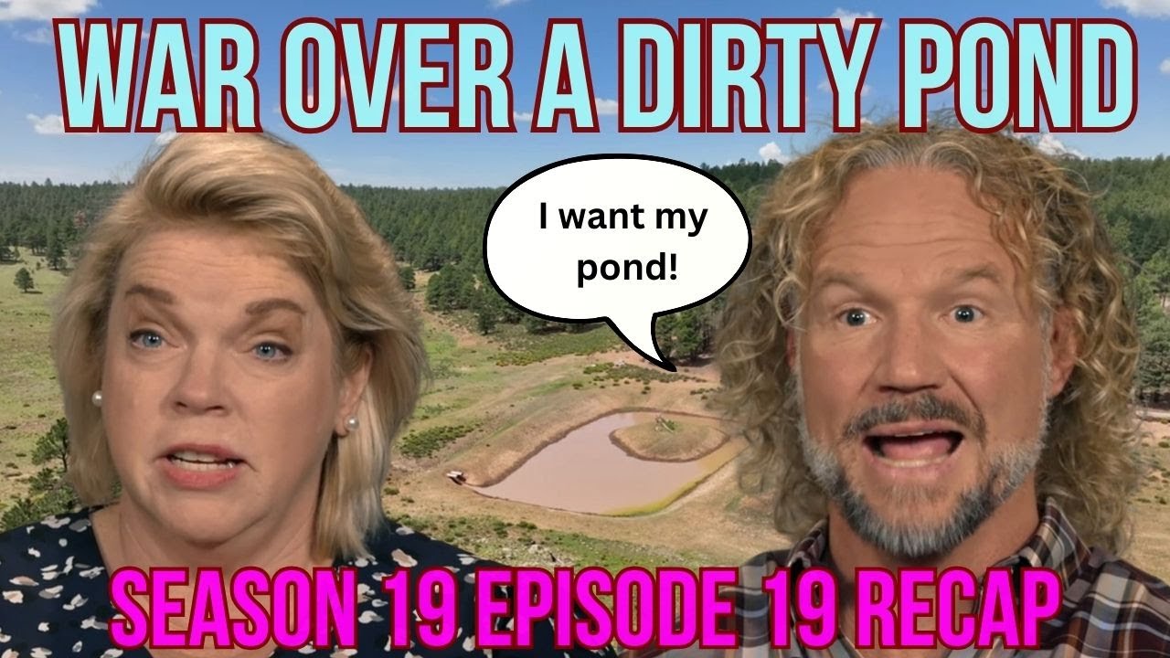 Обзор 19 серии 19 сезона сериала «Жёны-сёстры» // Джанель и Мери становятся адвокатами, Коди обож...