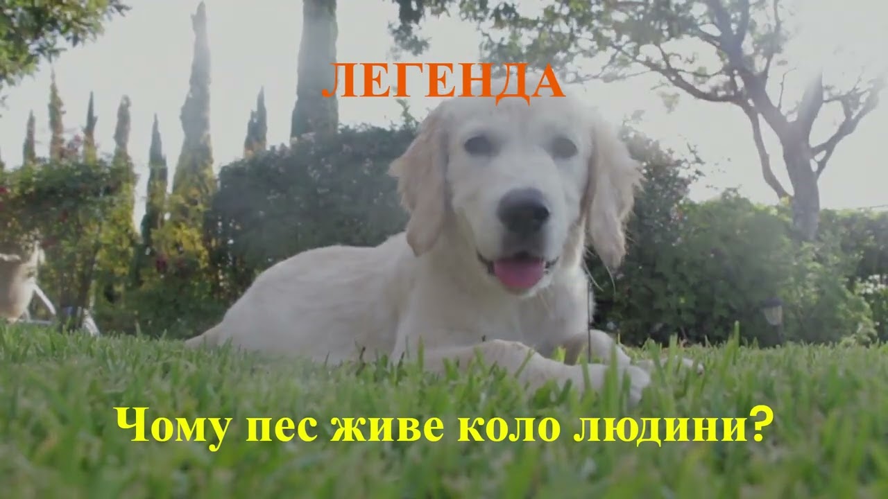 Легенда 