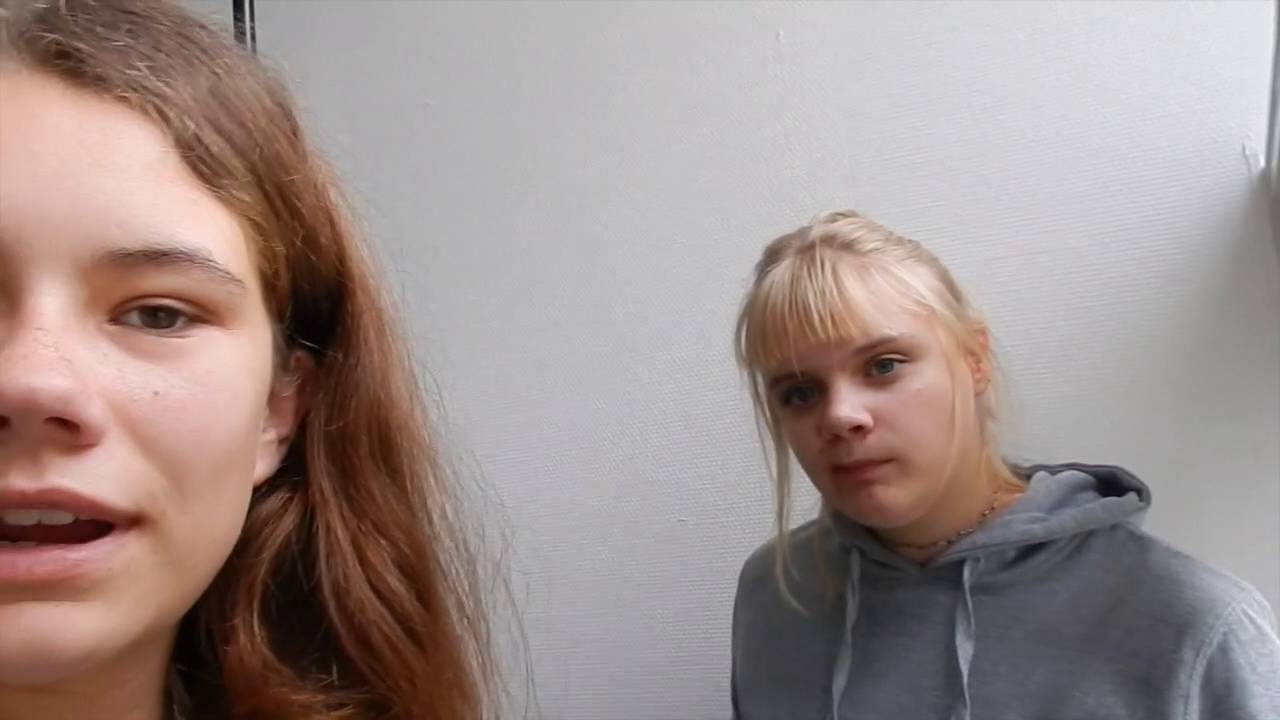 Vliegend Varken Vlog