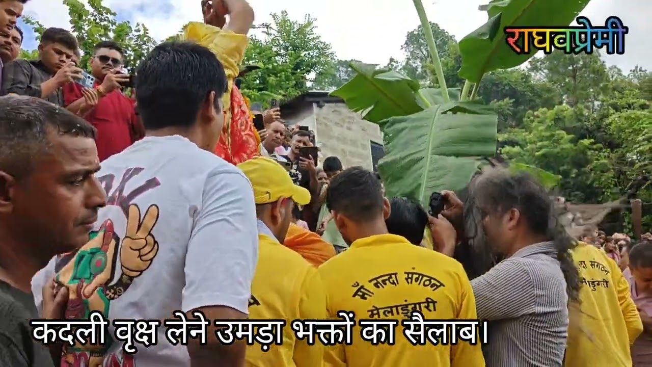 मां कोट भ्रामरी के दरबार से कदली वृक्ष लेने उमड़ी भक्तों की भीड़ ।
