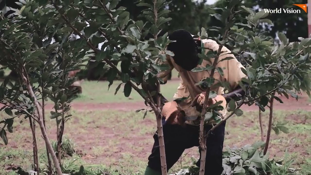 DEMONSTRATION OF EFFECTIVE PRUNING IN FMNR