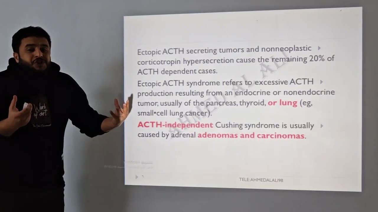 Adrenal gland /part1/Applied therapeutics/fifth stage/pharmacy college