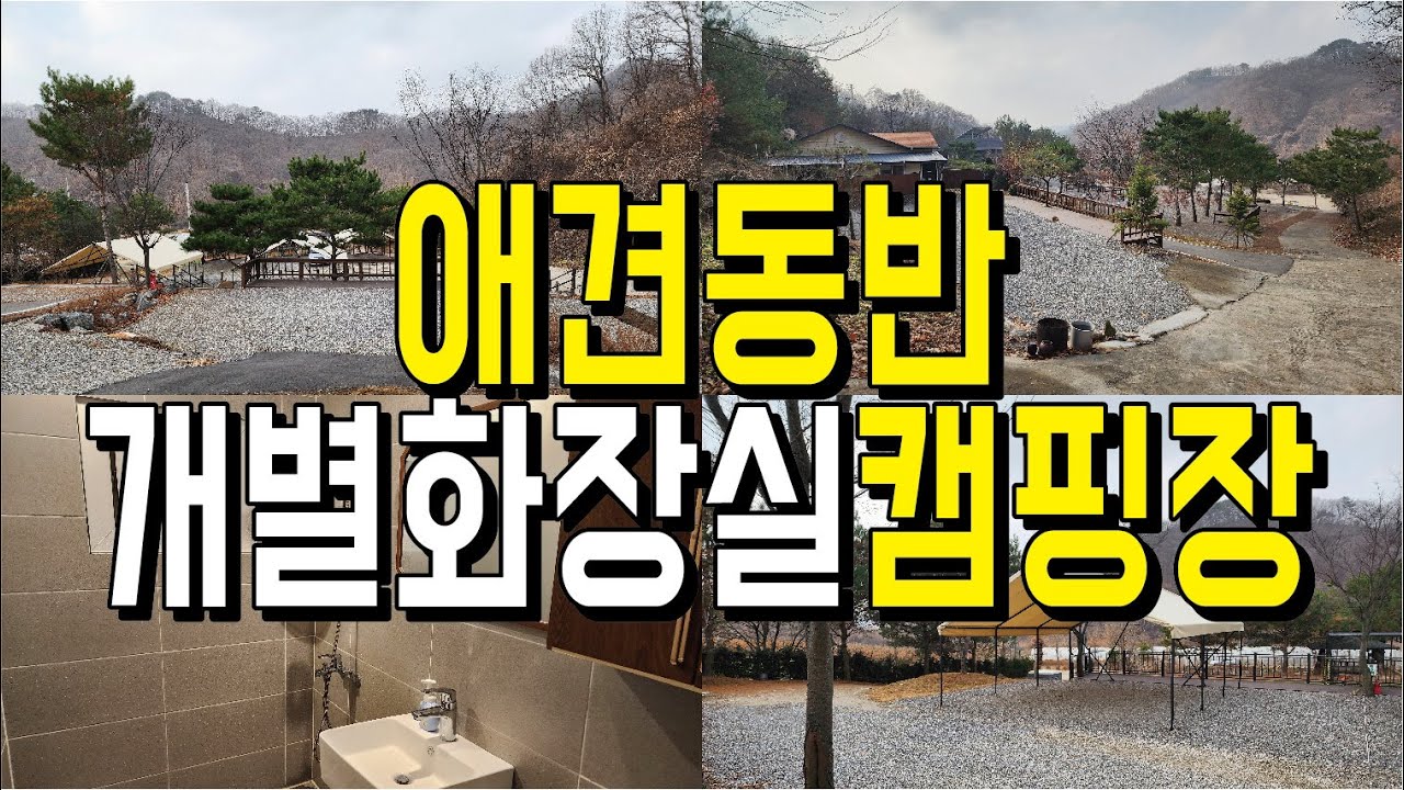 연천 라곰캠핑장 애견동반 전환! 반려견과 가볼만한 최고의 애견친화 개별화장실 캠핑장