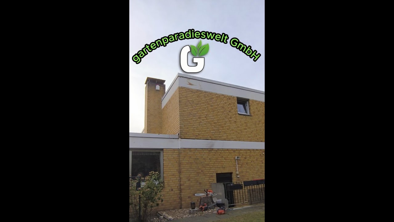 Gefahrbaumfällung mit SRT & DdRT #garten #srt #climbing #baumfällung #garden #felling #tree