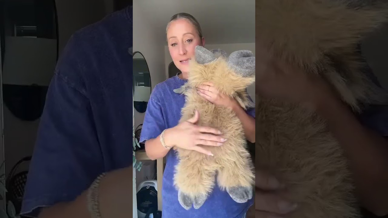 Highland Cow Plush