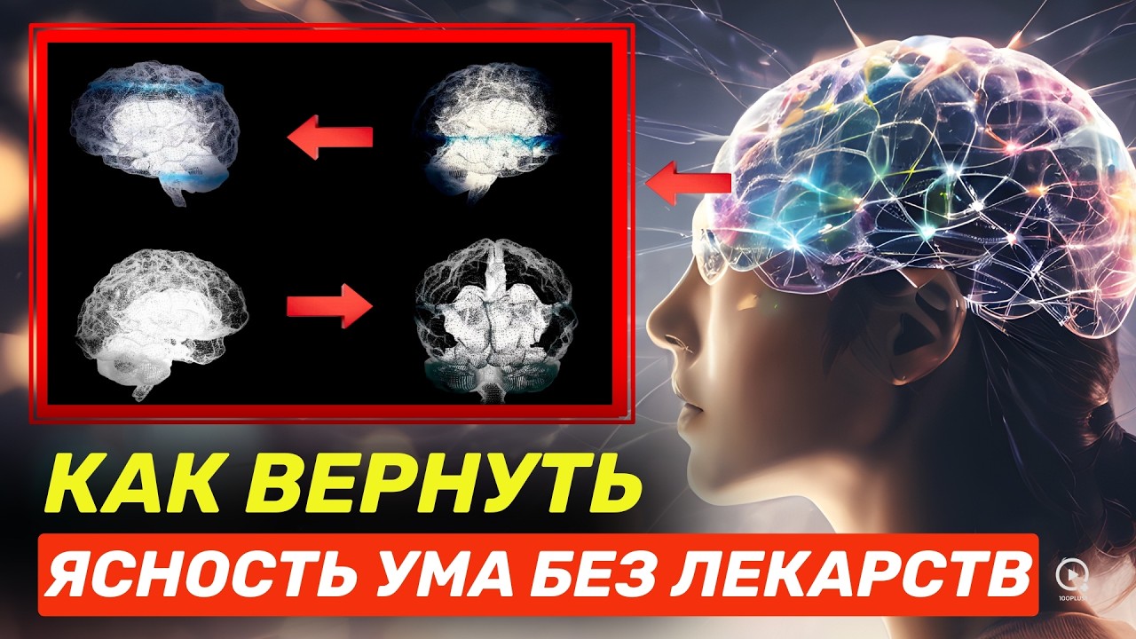 Почему После 50 Мозг “тупеет”: Как Вернуть Ясность Без Лекарств