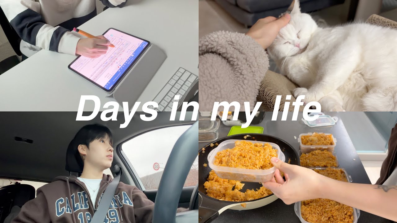 eng) 자취 브이로그 I 집밥 해먹는 소소한 일상🥘 I 실비김치 볶음밥 I 까불이가 된 홍초 I 지평이 생일