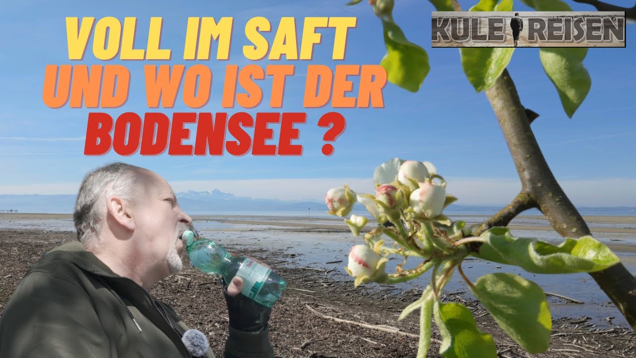 Voll im Saft  - Die Obstblüte aber wo ist der Bodensee ?