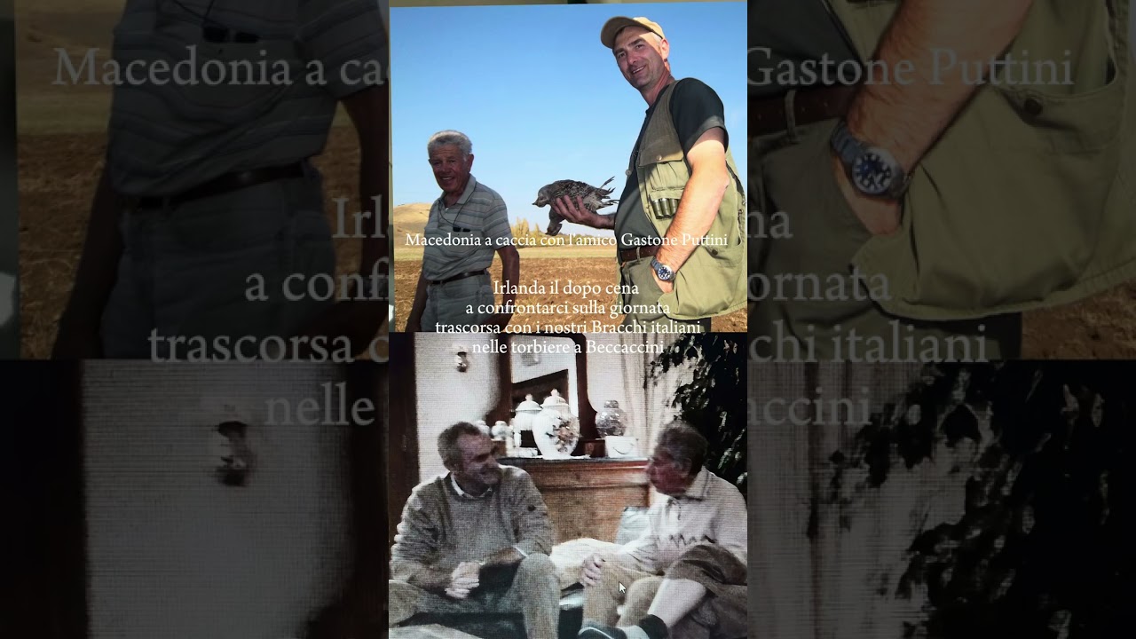 A Becaccini in Lomellina con Bracco italiano - Ambrogio Fossati - www.braccoitalianobassabrianza.it