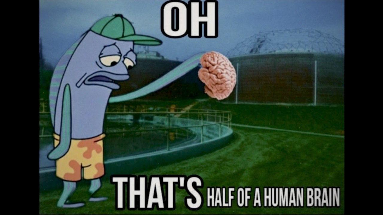 The Horrifying Real Events Behind These Memes